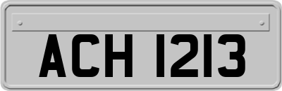 ACH1213