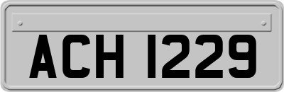 ACH1229