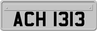 ACH1313
