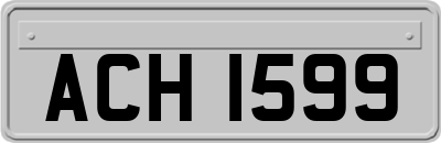 ACH1599