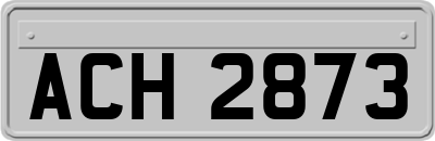 ACH2873