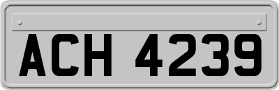 ACH4239