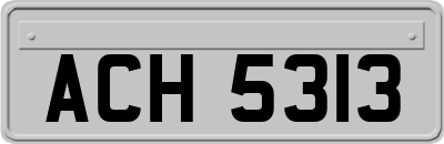 ACH5313