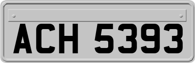 ACH5393