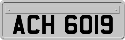 ACH6019