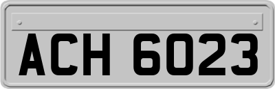 ACH6023