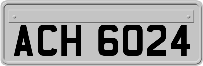 ACH6024