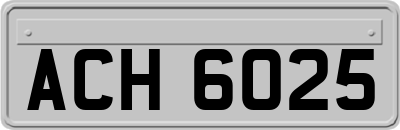 ACH6025