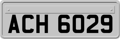 ACH6029