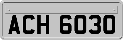 ACH6030