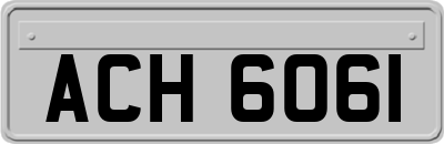 ACH6061