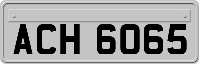 ACH6065