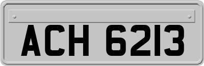 ACH6213