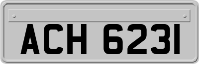 ACH6231