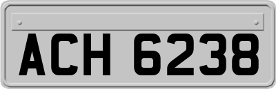 ACH6238
