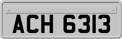 ACH6313