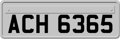ACH6365