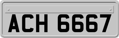 ACH6667