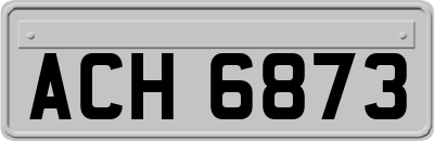 ACH6873