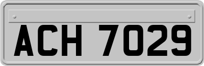 ACH7029
