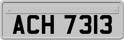 ACH7313