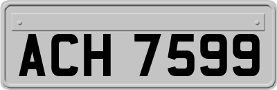 ACH7599