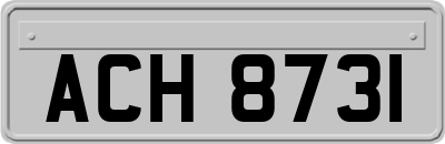 ACH8731