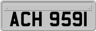 ACH9591