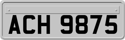 ACH9875