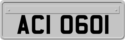 ACI0601