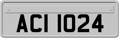 ACI1024