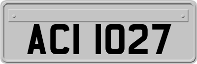 ACI1027