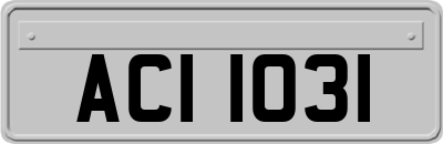 ACI1031
