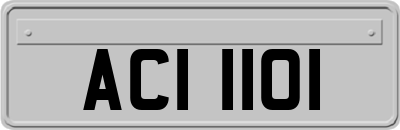 ACI1101