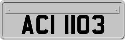 ACI1103