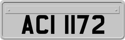 ACI1172