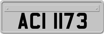 ACI1173