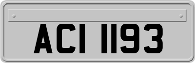 ACI1193