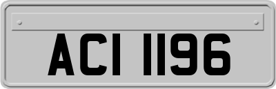 ACI1196