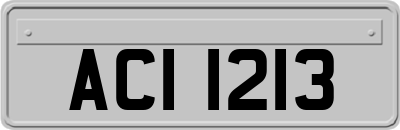 ACI1213