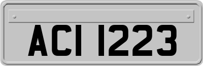 ACI1223