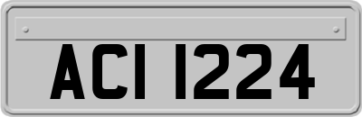 ACI1224