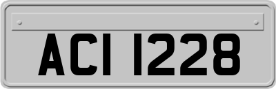 ACI1228