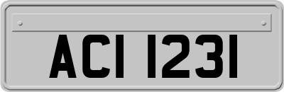 ACI1231