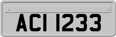 ACI1233