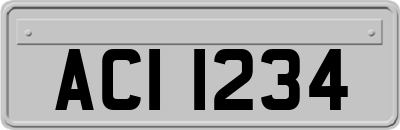 ACI1234