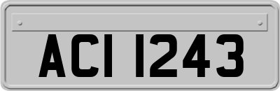 ACI1243