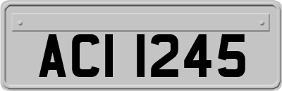ACI1245