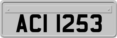 ACI1253