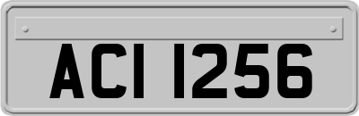ACI1256